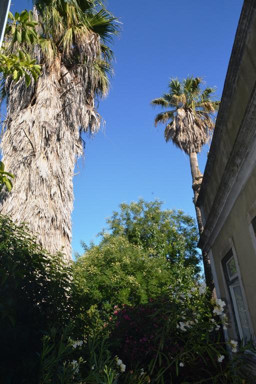 Lisbon Budget Inn Exteriör bild